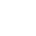 Icon_google